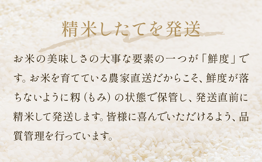 令和7年産 つや姫 精米 10kg（5kg×2）単品 米 お米 ご飯 白米 