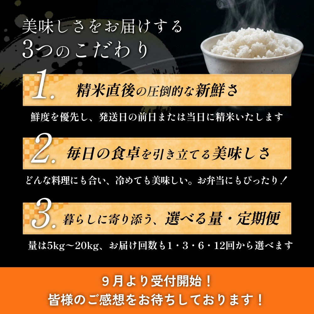 【 令和8年産 】 新米 ひとめぼれ 10kg＜ 毎月 10kg 6回 お届け 