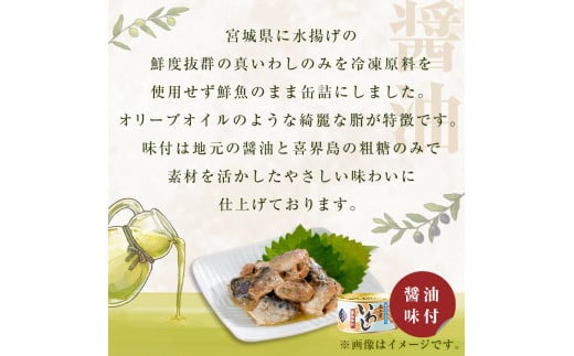 缶詰 いわし缶詰 木の屋石巻水産 食べ比べ セット (水煮・
