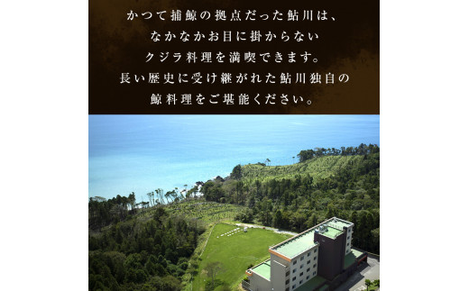 島周の宿 さか井 ペア宿泊券 一泊二食付き 「漣」プラン 宿