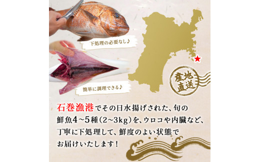鮮魚 詰め合わせ 2～3kg（4～5種）下処理済み 漁師直送! 宮城