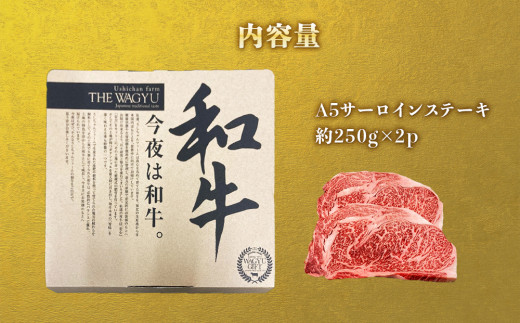 石巻黄金和牛 A5ランク サーロインステーキ 500g（約250g×2）
