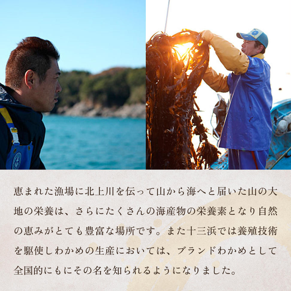 十三浜 浜だより 海藻 6種7品 塩蔵わかめ 早煮こんぶ とろろ