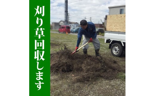 空き地の草刈り代行（10坪単位）