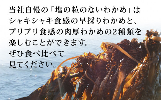 佐利水産のわかめ・昆布6種セット