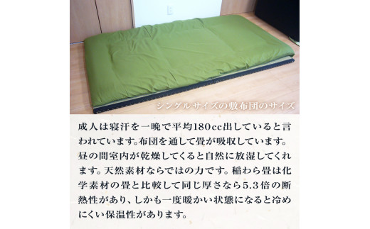 縁付和楽畳　寝床用２枚セット