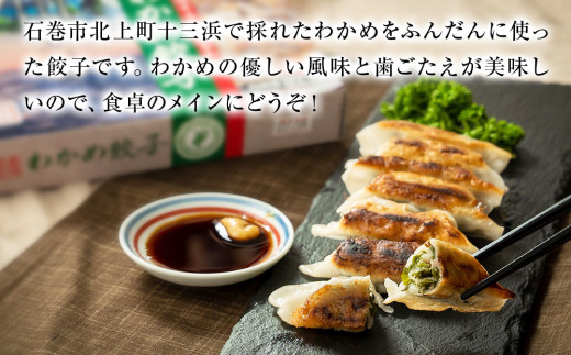 わかめ餃子　48個セット