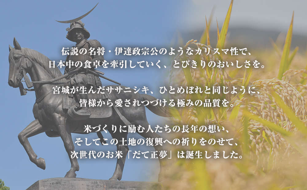 ＜定期便3回・毎月発送＞ 令和7年 だて正夢 いしのまき産米