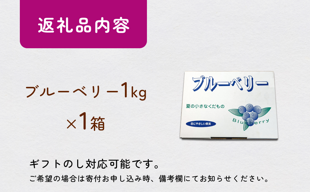 ＜ 先行予約 ＞ ブルーベリー ( 1kg ) 箱入り 生 無農薬 化学
