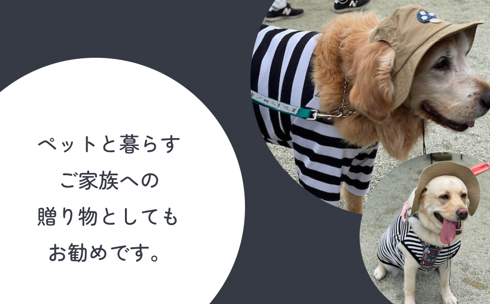 きのこ アウトドアハット　ダークネイビーXL 犬 ペット グ