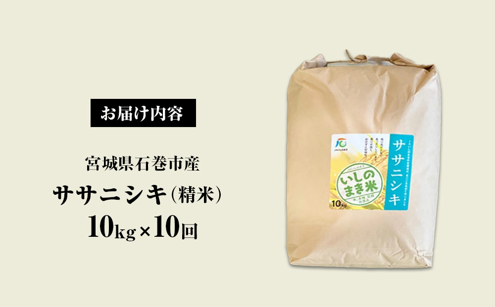 令和６年産 米 ササニシキ 定期便 10kg × 10回 お米 精米 白米