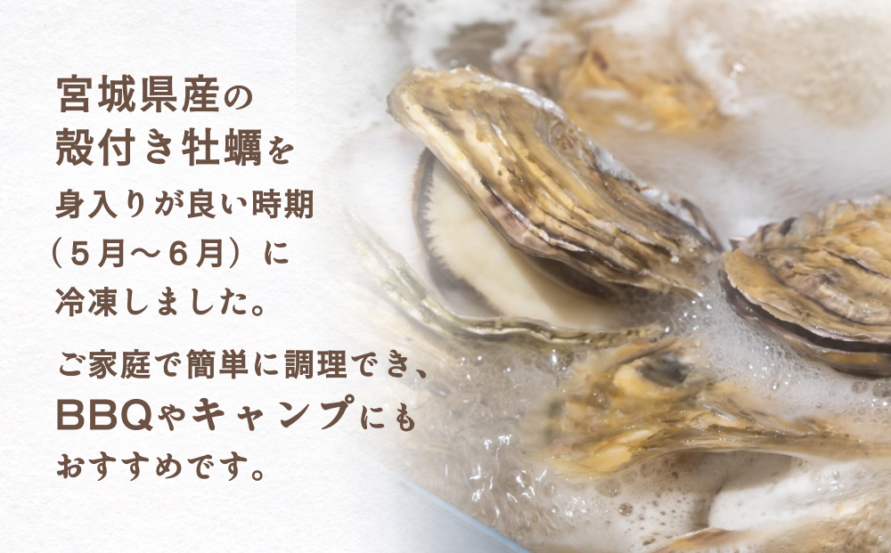 牡蠣 宮城県産 冷凍 殻付き かきカン缶焼きセット 1.5kg 約 10