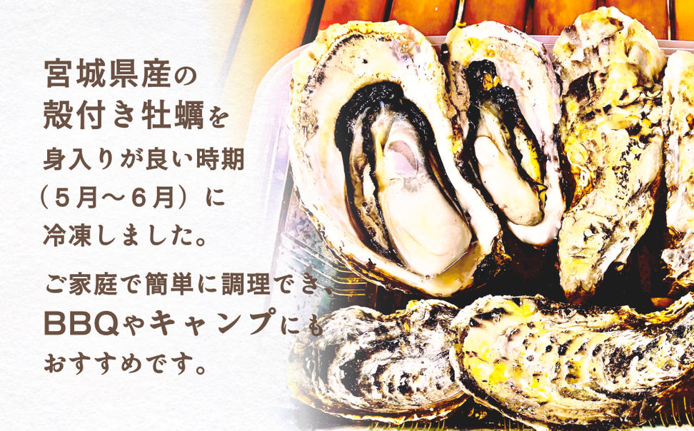 レンジで簡単調理 殻付きかきレンジ 3P 簡単調理 BBQ 牡蠣 カ