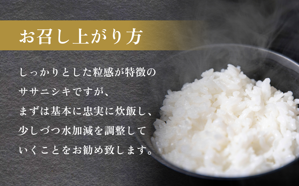 令和7年産 石巻産 ササニシキ 精米 5kg 米 お米 白米 コメ ご