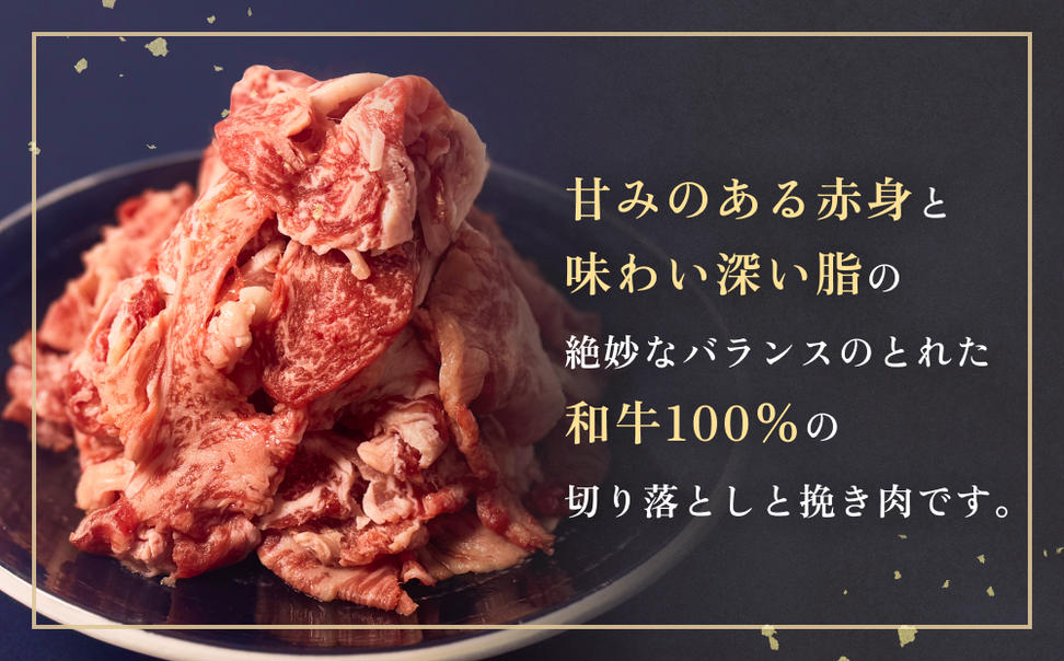 うしちゃんファームセット 5P 和牛 切り落とし 1.5kg 挽き肉 2