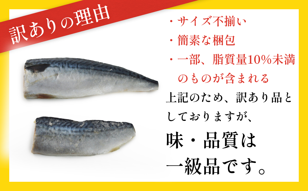 訳あり 無塩サバフィレ3.5kg （30枚前後） 冷凍 さば 鯖 不揃
