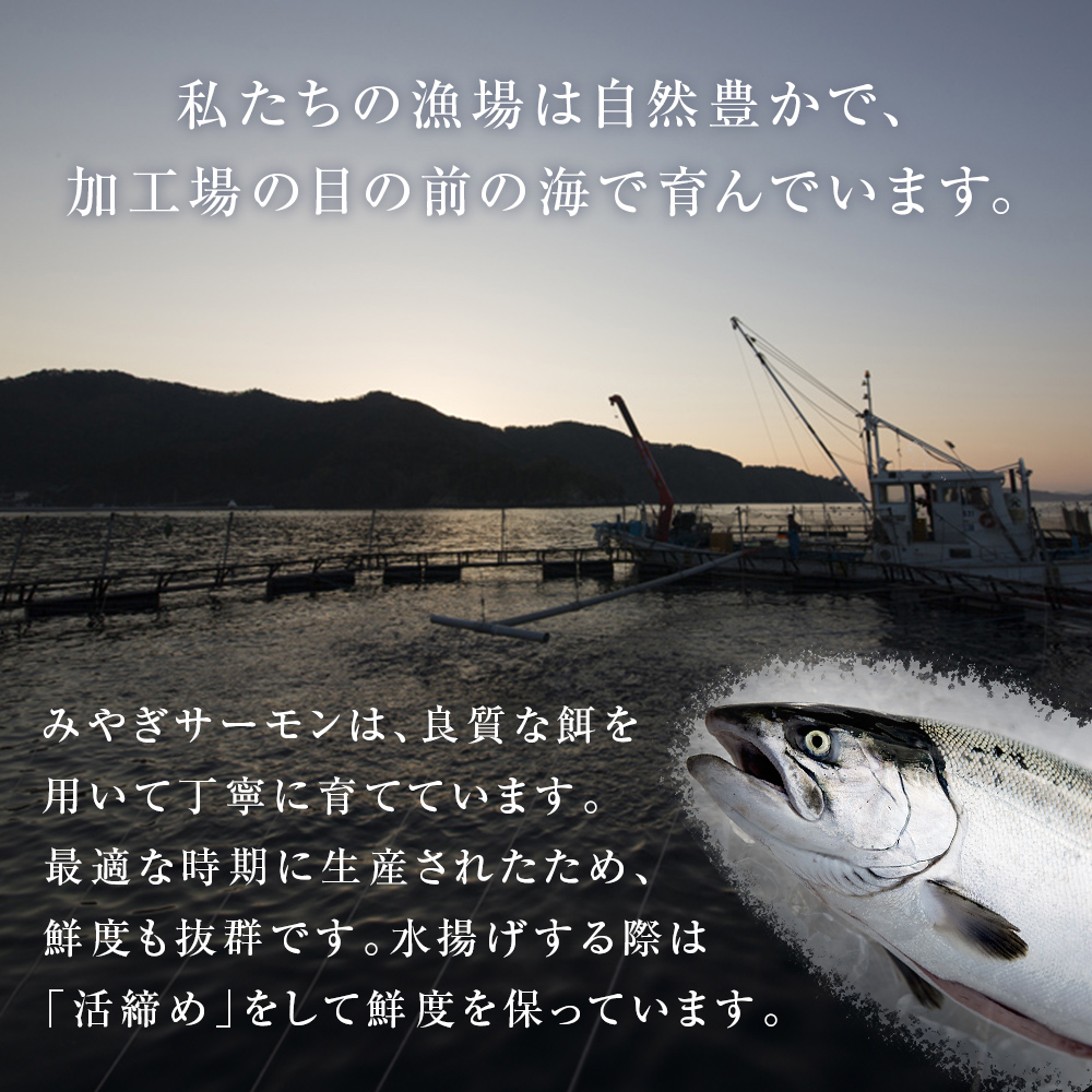 みやぎサーモン 焼きほぐし セット さけ 鮭 サケ サーモン 