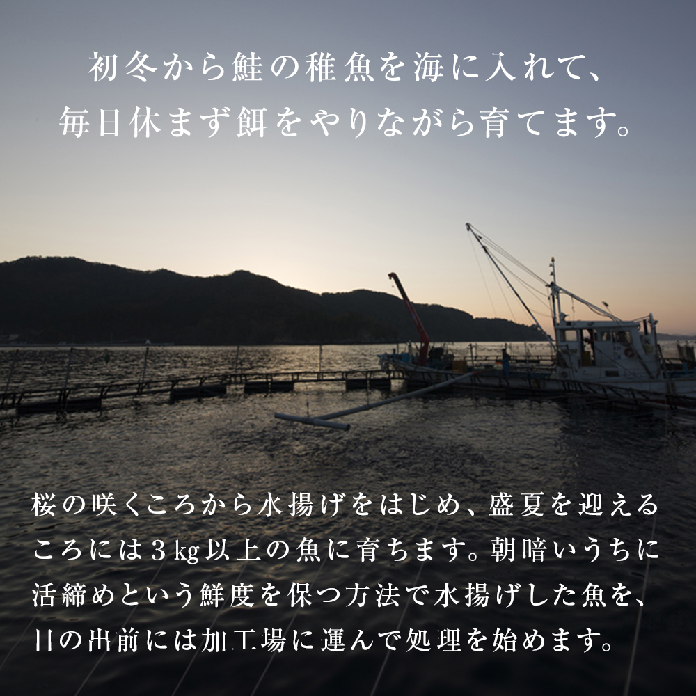 鮭 みやぎサーモン 中落ち 1kg（ 200g × 5袋 ）サーモン 中落