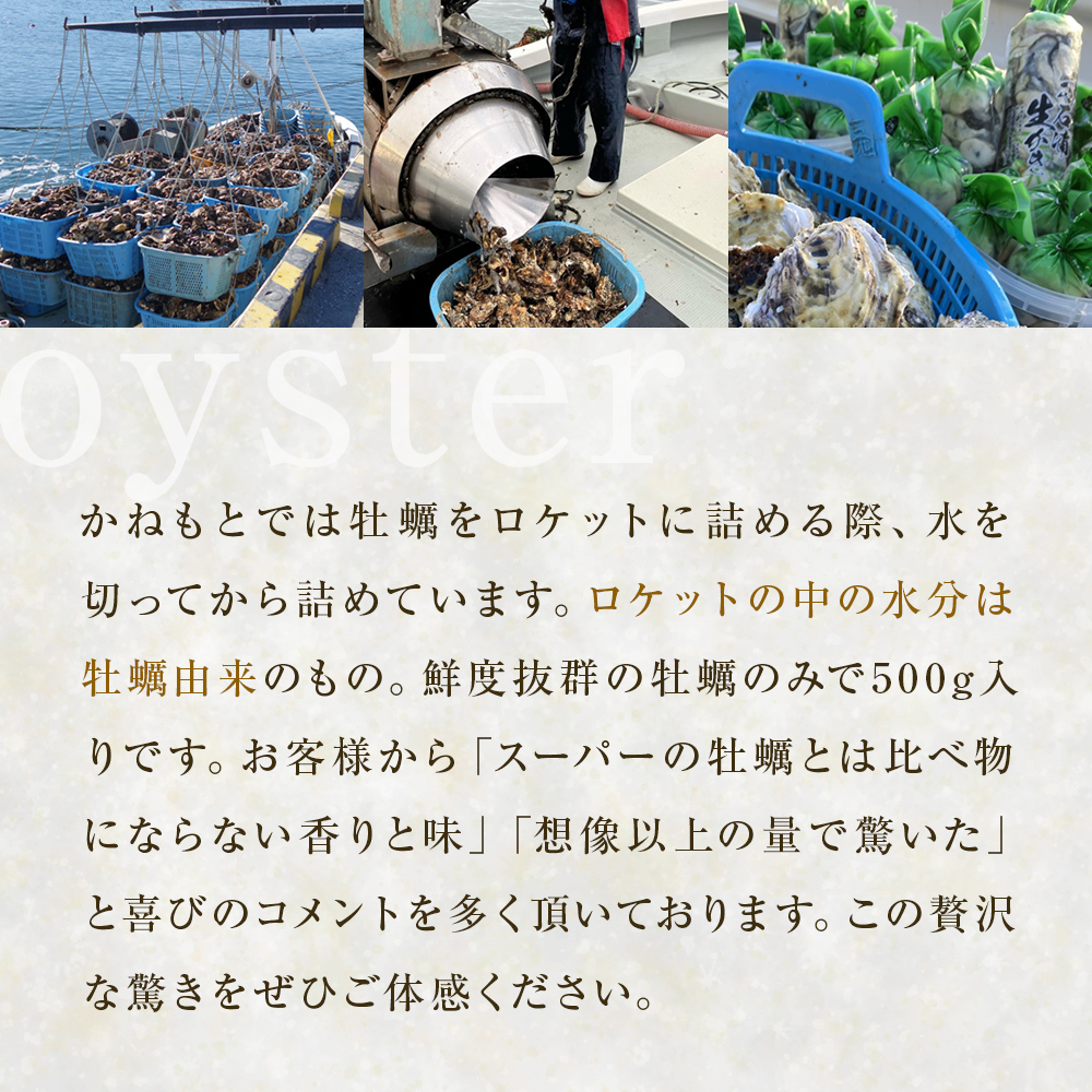 【先行予約】生牡蠣 牡蠣 生食用 かき剥き身 500g 2本入 水無