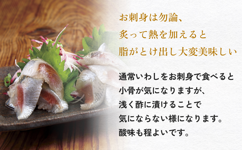 とろ金華いわし酢〆フィーレ 500g 金華いわし 鰯 いわし イ