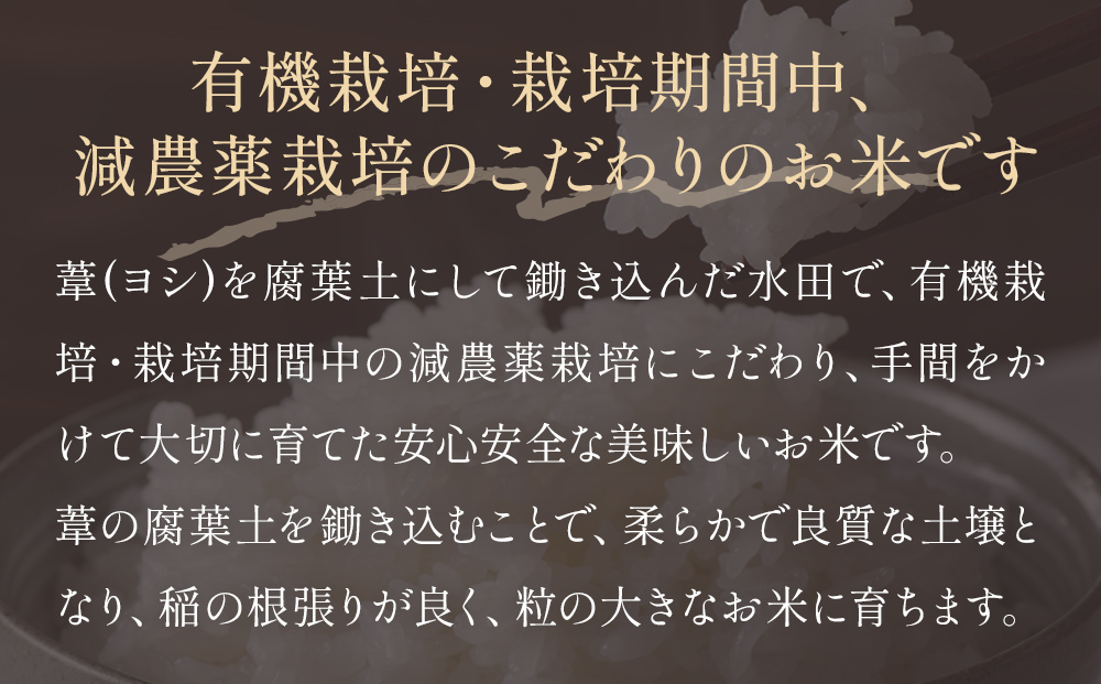〈 先行予約 〉【定期便3回】 米 令和7年産 ササニシキ 精米