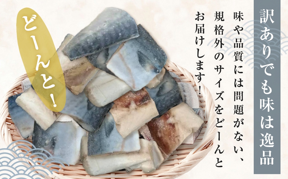訳あり 塩サバ 切身 400個 冷凍 サバ 鯖 魚 青魚 塩さば 切り