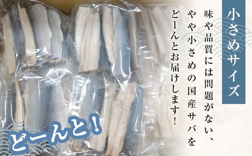 小さな 国産 塩サバ 6kg  ( 200g × 30パック ) 冷凍 サバ 鯖 魚 