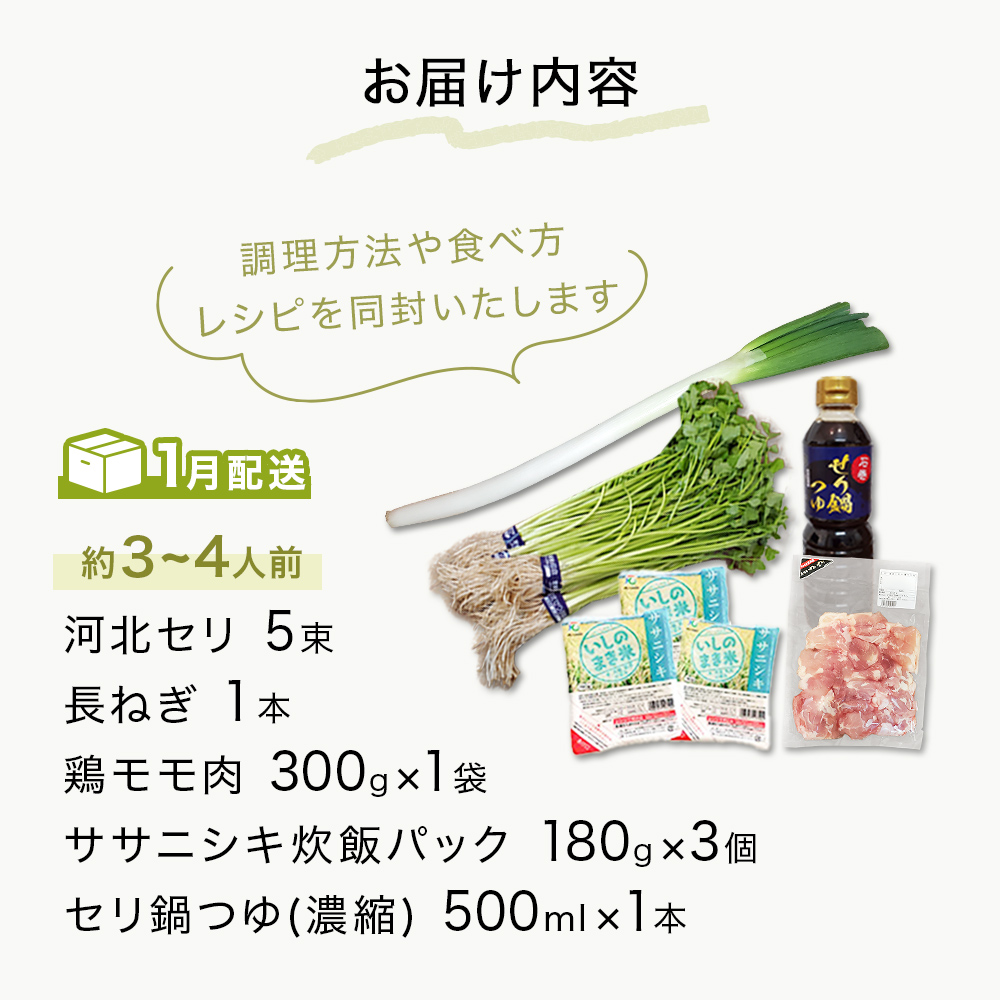 ＜1月配送＞ せり鍋セット せり5束 3-4人前 河北せり 鍋 せり