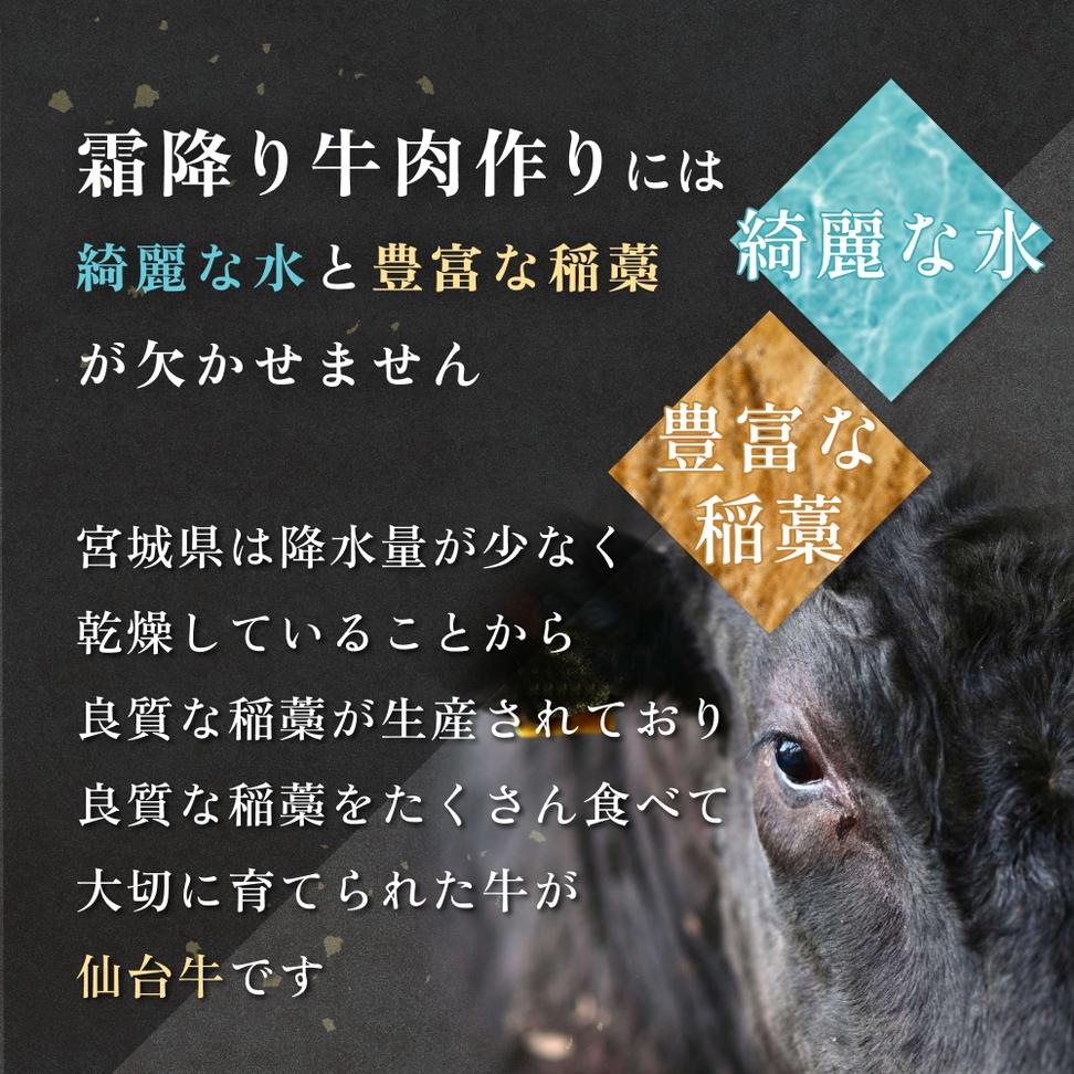 仙台牛 しゃぶしゃぶ用 300g×1P ロース 牛肉 肉 お肉 しゃぶ