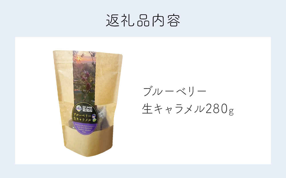 ブルーベリー 生キャラメル 280g 無添加 摘みたて 自然栽培 