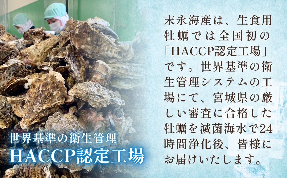 【宮城県産 生食用牡蠣】 一年子生カキ むき身 500g かき カ