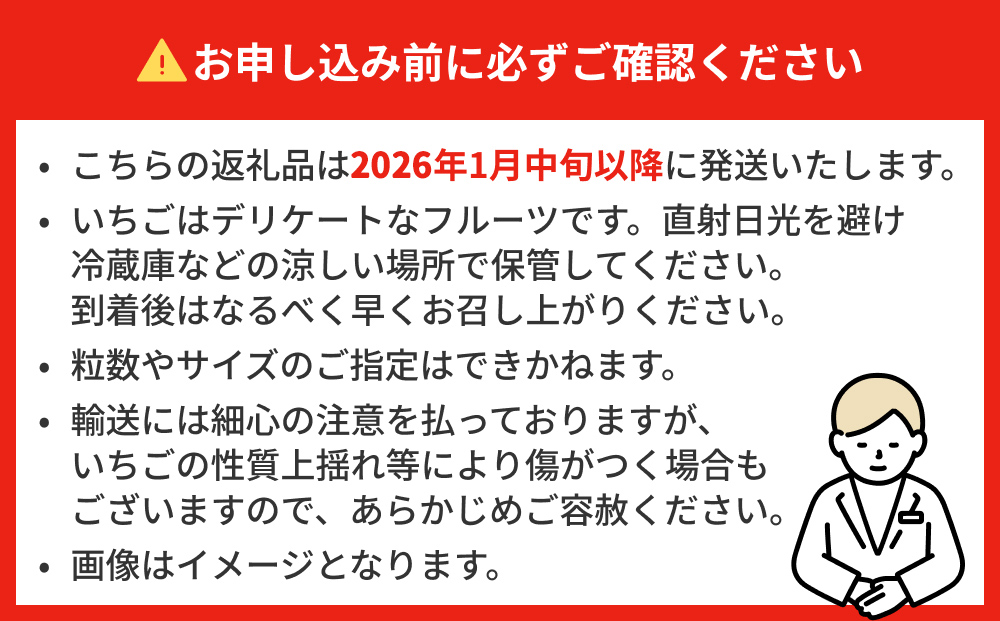 【2026年1月中旬発送開始】 いちご とちおとめ 恋みのり に