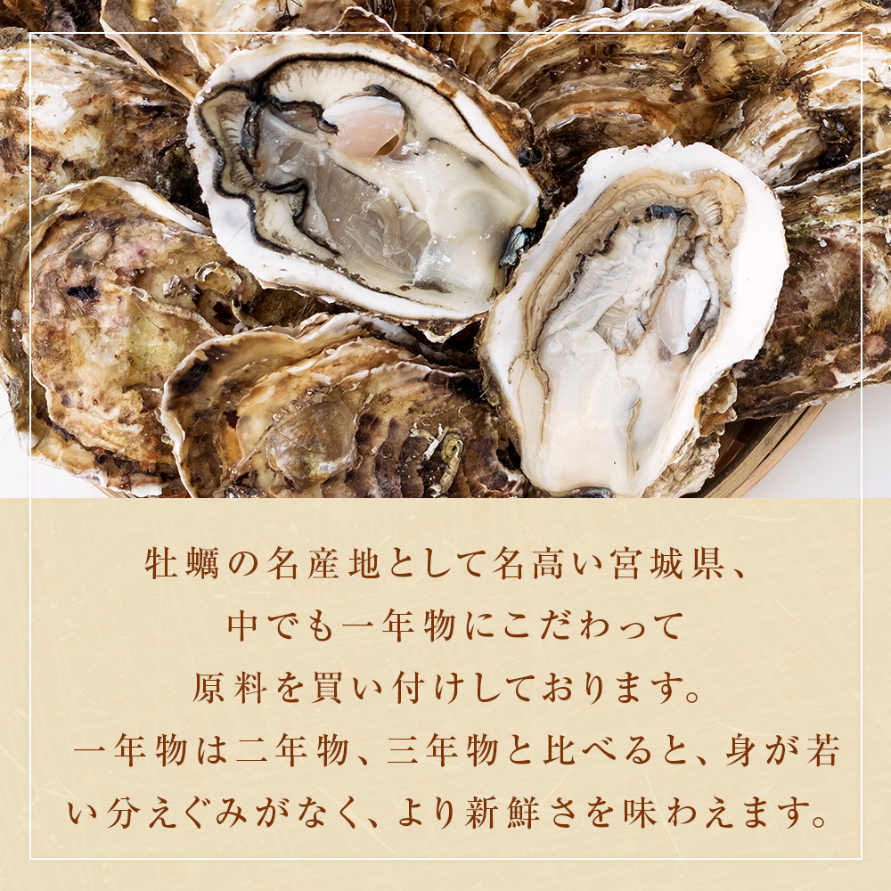 牡蠣 宮城県産 生かき むき身 大粒 生牡蠣 生食 加熱 カキ 