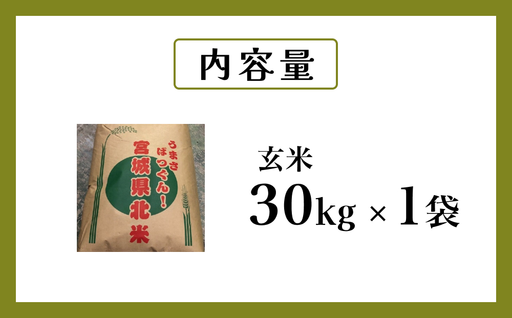 米 令和7年産 ササニシキ 玄米 30kg お米 ごはん ご飯 飯 30キ