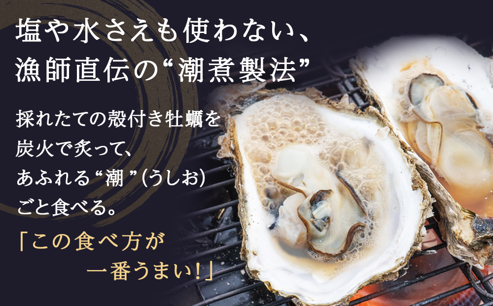 牡蠣 宮城県産 牡蠣の潮煮 130g 10個セット 1.3kg 農林水産大臣