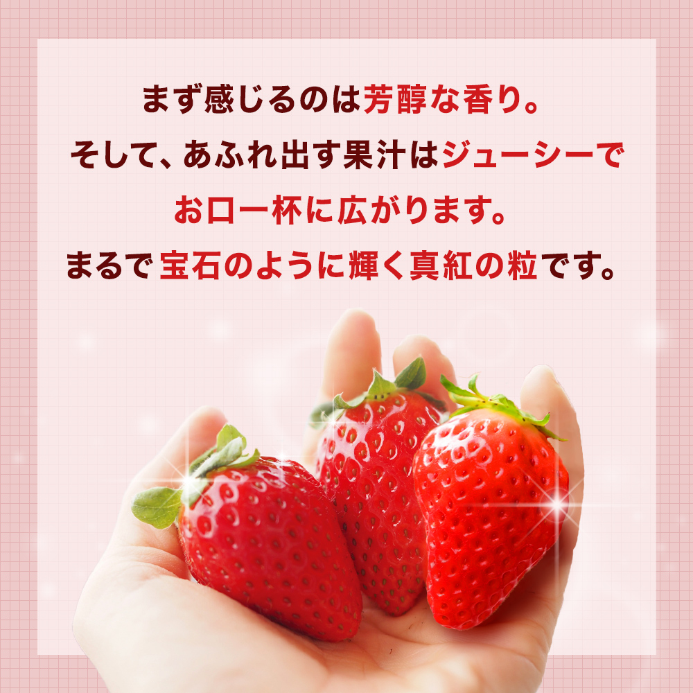 《数量限定》 ジューシー 紅ほっぺ 500g （250g × 2） 苺 いち