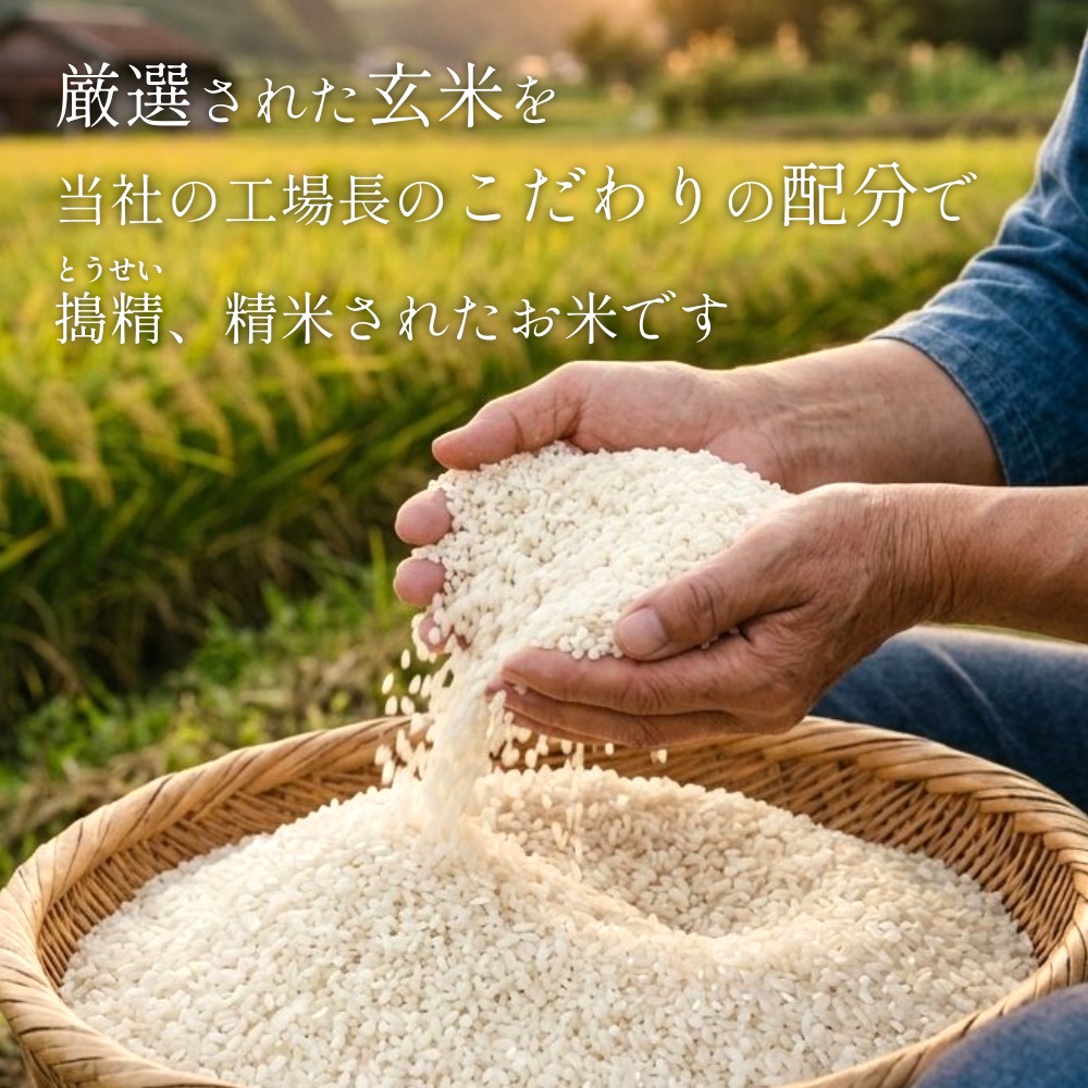 【 令和8年産 】 新米 ひとめぼれ 10kg＜ 毎月 10kg 6回 お届け 