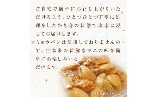 宮城県産 塩水 生うに 160g（80g×2） 宮城県産 生ウニ 生雲丹 
