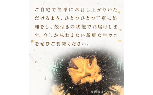 宮城県産 お造り生うに 6個 生ウニ 生雲丹 うに ウニ 雲丹 