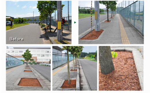 マルチング ウッドチップ スギマルチングファイバー 約100L 