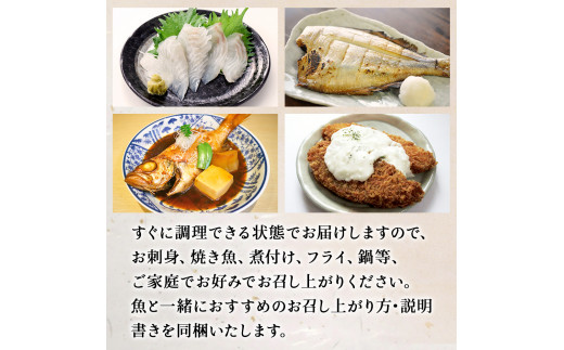 鮮魚 詰め合わせ 2～3kg（4～5種）下処理済み 漁師直送! 宮城