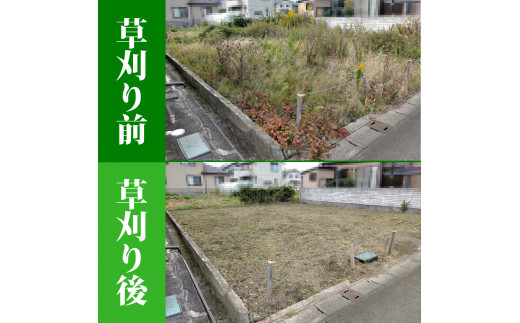空き地の草刈り代行（10坪単位）