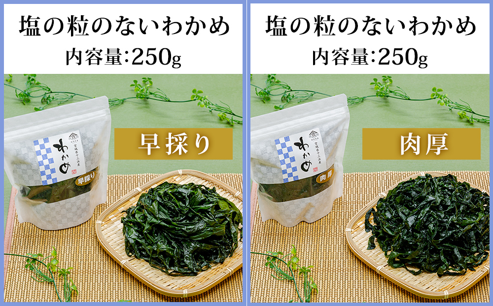 佐利水産のわかめ・昆布6種セット