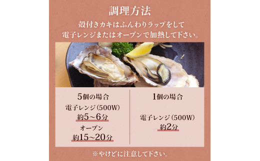 牡蠣むき身 500g 殻付き牡蠣 6個 お楽しみセット 牡蠣 かき 