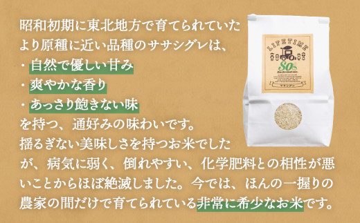 【 先行予約 】ササシグレ 玄米 5kg 新米 米 お米 節減対象農