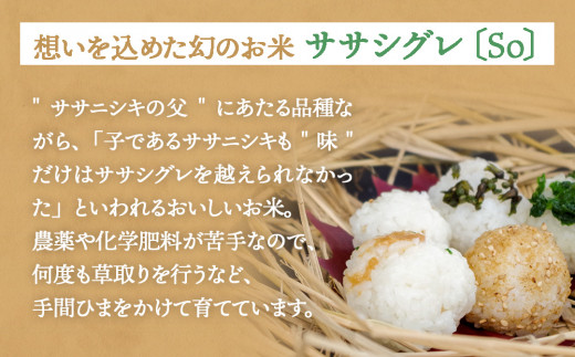 ササシグレ 玄米 10kg ササニシキ 玄米 10kg 食べ比べ ささし