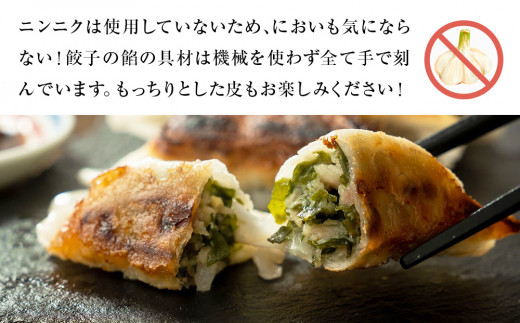 わかめ餃子　48個セット