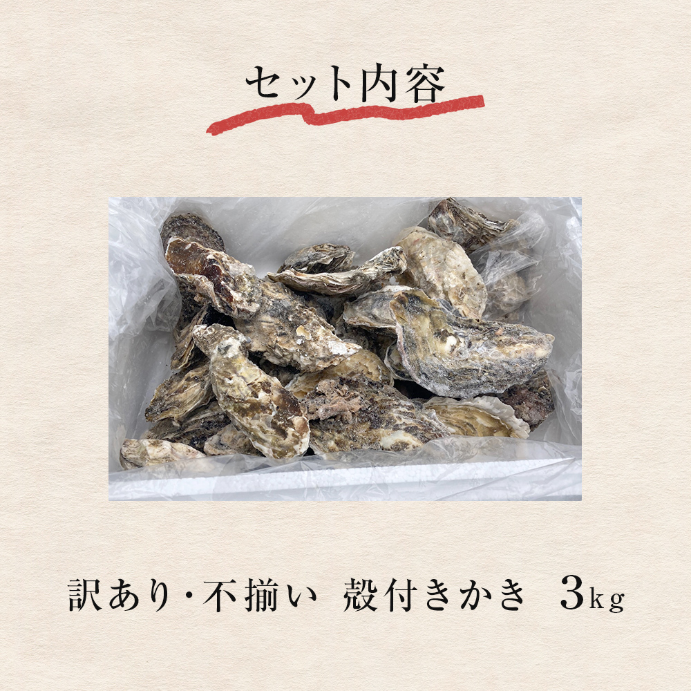 ＜訳あり・不揃い＞ 牡蠣 冷凍 殻付き 牡蠣 3kg 三陸産 不揃