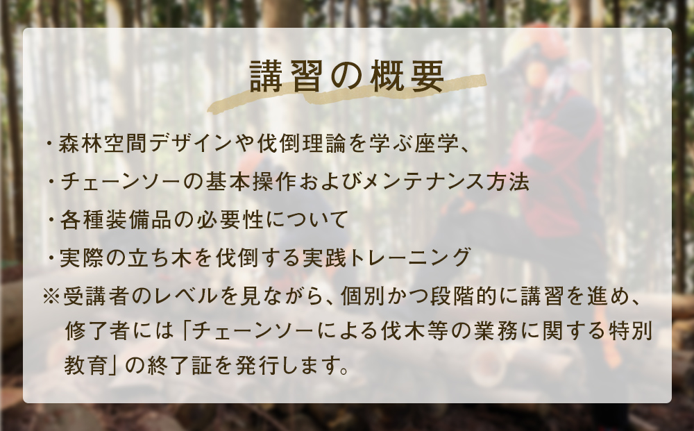 石巻の若者支援企画！森林整備に必要なチェーンソー技術