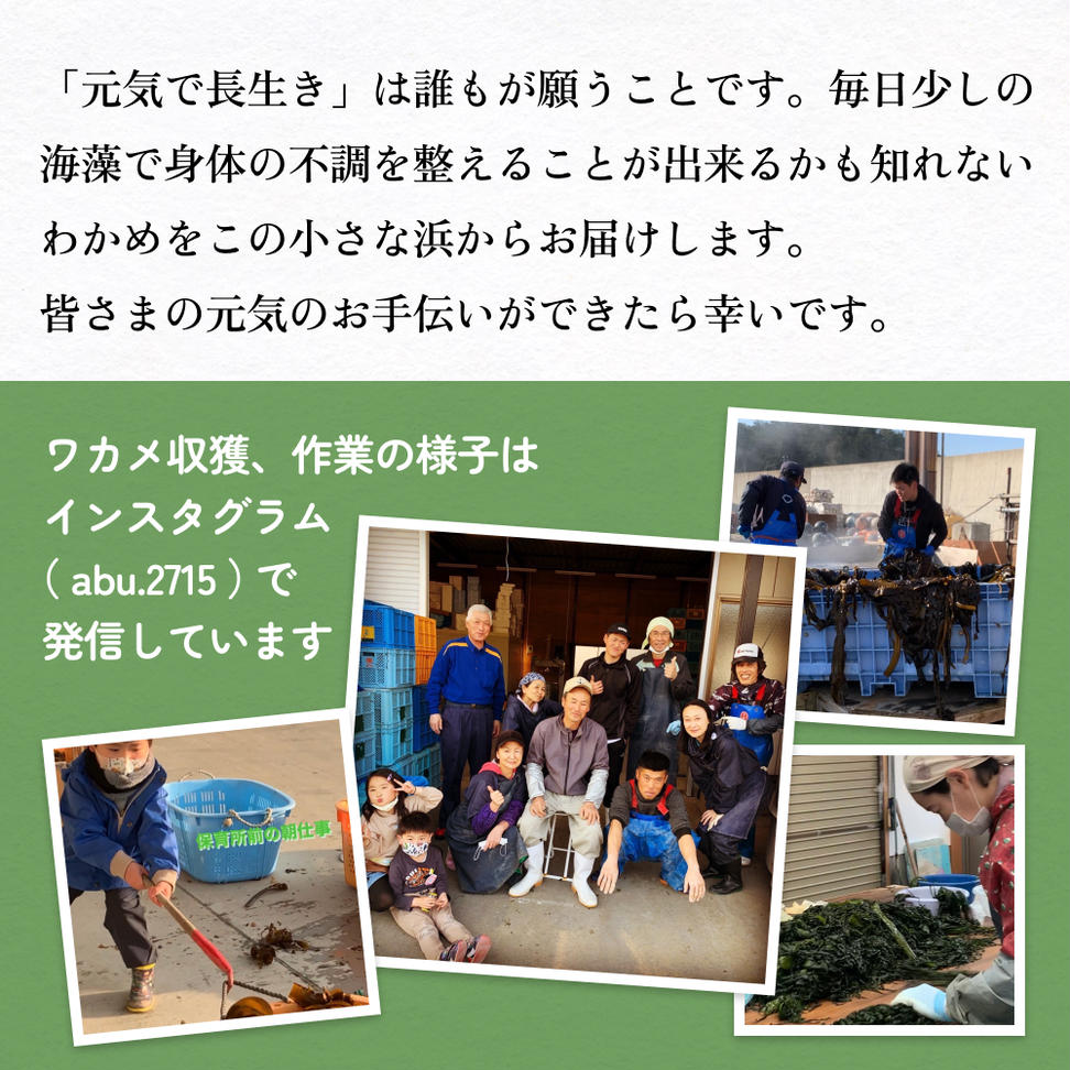 世界三大漁場の恩恵をうけて育った塩蔵わかめ わかめ 三陸